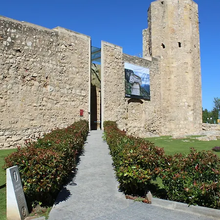 Forum בית הארחה טראגונה